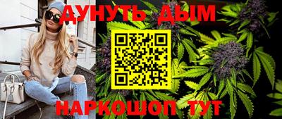 крисы Новокубанск