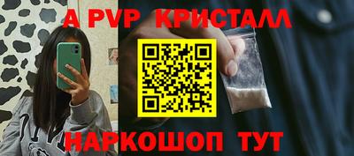 ECSTASY Новодвинск