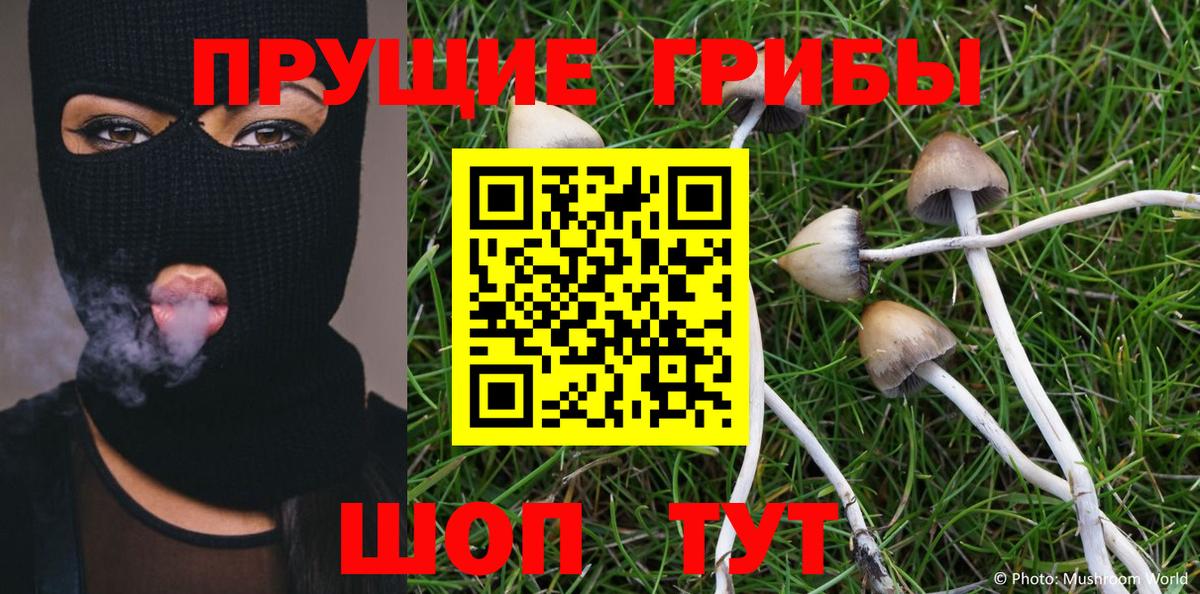 Псилоцибиновые грибы Cubensis  Вход с VPN  Сызрань 
