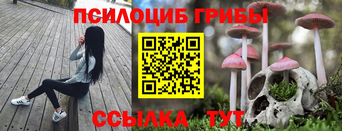 Галлюциногенные грибы Cubensis Сызрань